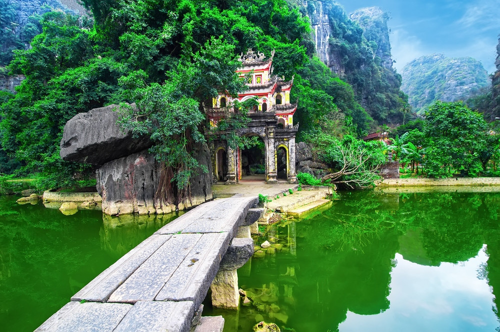 banner-image